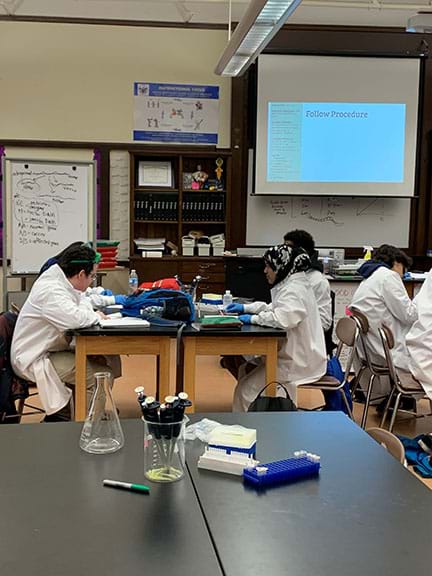 In the foreground, there is a set of micropipettes in a beaker, microcentrifuge tubes in a tray, a box of pipette tips, and an Erlenmeyer flask. In the background, four students sit at a lab table using micropipettes.