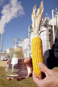Photo shows an ear of dried yellow corn on the cob and a beaker of clear liquid with a backdrop of an industrial plant with smokestacks.