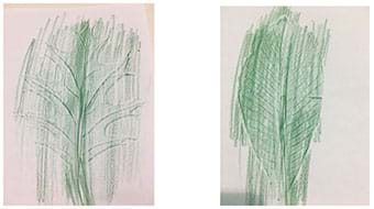 A student example of leaf etching. The leaf is etched in green.