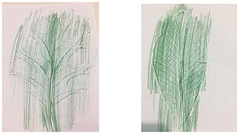 A student example of leaf etching. The leaf is etched in green.