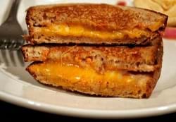 A close up of a grilled cheese on a white plate