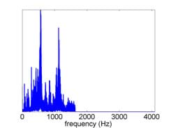 The spectrum with the high frequencies removed and the low frequencies unaffected. The right half of the graph is blank (all data removed).