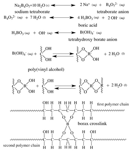 Diagram shows the mechanism through which sodium tetraborate (borax) in water produces boric acid. Through the addition of a hydroxy ion, boric acid becomes tetrahydroxy borate anion. Tetrahydroxy borate anion reacts with two hydroxyls in one polymer chain. When additional tetrahydroxy borate anions react with two hydroxyl groups in an adjacent polymer chain, a borate crosslink forms. 