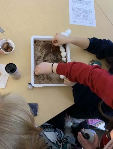 A container filled with dyed brown oil mixed in water sits on a table. Two students try to remove the dyed oil from the water by placing cotton balls on top of the liquid.