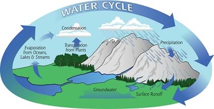 A graphic shows the water cycle with identification of evaporation, transpiration, condensation, precipitation, surface runoff and groundwater.