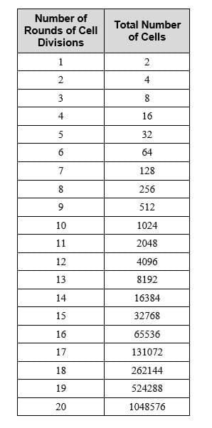 A two-column table shows the exponential growth of one cell multiplied to 1 million cells. Column headers: Number of rounds of cell divisions, and Total number of cells. After 20 rounds, the total cell count is 1,048,576. 