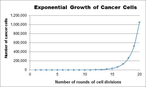 incremental cancer risk probability exponential graph incremental cancer risk probability exponential graph