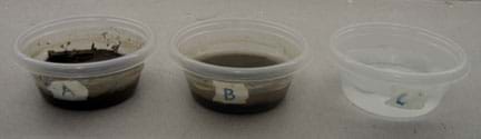 Photo shows three plastic containers labeled A, B, C. A contains soil, small plants and water, B contains soil and water, and C contains only water.