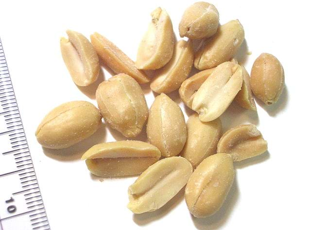 A macro image of unshelled peanuts laying next to a ruler for size perspective.