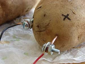 A photograph shows a potato battery that uses copper (bare copper wire) and zinc (galvanized threaded bolt) electrodes, and the phosphoric acid of the potato as an electrolyte.
