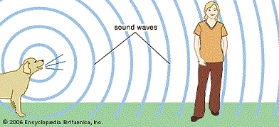 A diagram shows sound waves (radiating curved lines) from a barking dog traveling to and past a person standing nearby.