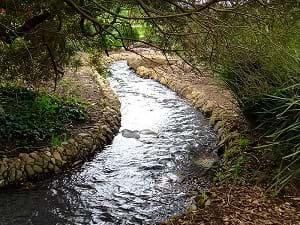 A small stream running though a park.