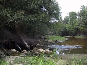 The flow of the Alapaha River falling into a sinkhole to the Floridan Aquifer demonstrating Surface water-Groundwater (SW-GW) interaction. 