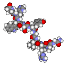 A graphic depicting gonadotropin, a releasing hormone.