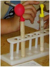 A photograph of experiment setup with balloons on top of test tubes. A student is in the background recording information onto a sheet of paper.