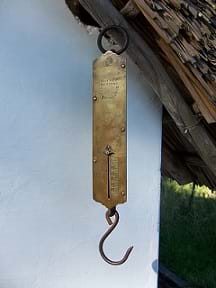 A photograph shows a hanging spring scale.