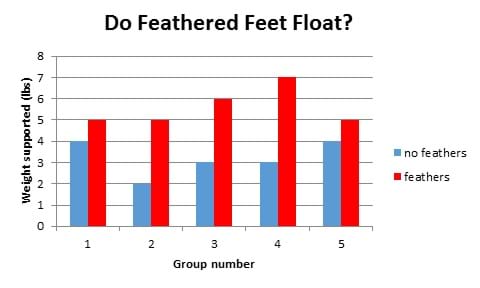 A bar graph shows class data for weight supported (in pounds) for each group (numbered 1, 2, 3, 4, 5) with blue bars for "no feathers" and red bars for "feathers" data. The graph title is: Do Feathered Feet Float? All five red bars are higher than all five blue bars, with the most weight supported being 7 pounds.