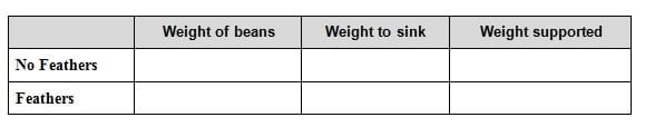 A two-row by three-column blank table. Column titles (left to right): Weight of beans, Weight to sink, and Weight supported. The rows are titled: No Feahers, and Feathers.