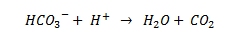 An equation describing how hydrogren carbonate (also known as bicarbonate) reacts with a free proton to form a water molecule and a carbon dioxide molecule.