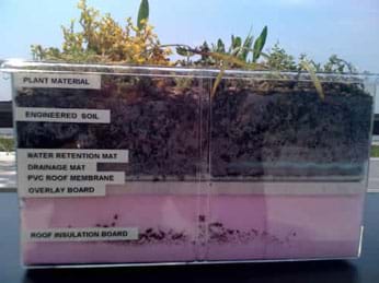 A photo shows a see-through plastic tub with identified layers from bottom to top: roof insulation board (thick pink layer), overlay board, PVC roof membrane, drainage mat, water retention mat, engineered soil, plant material.