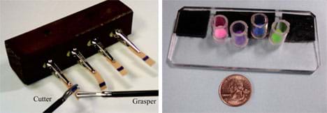 Two photos: (left) A block of wood with four alligator clips sticking out of it. Each clip is clamped to a rubber band piece  with a black line on it. Two tools, identified as "cutter" and grasper," are working together to hold and cut one rubber band. (right) A 4 x 5-in piece of clear, rigid acrylic on a counter, with four clear plastic cylinders made from 3/4-in sections of PVC tubing, standing upright on it. Each cylinder contains a mini puffball of a different color (pink, purple, blue, green).