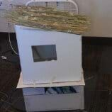 A photograph shows a small-size model house made of foamcore board with a grass roof. The house is positioned on top of a cardboard box.