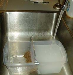 Photo shows a plastic tub sitting in a sink. Half of the tub is full of water; the other half is empty, kept dry by a sheet of plastic and sand that act as a levee.