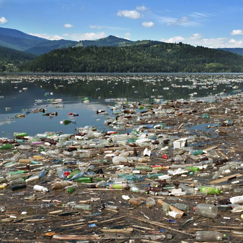 preview of 'Water Pollution' CurricularUnit