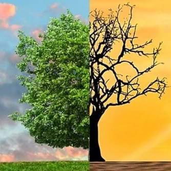 preview of 'Weather & Climate' CurricularUnit