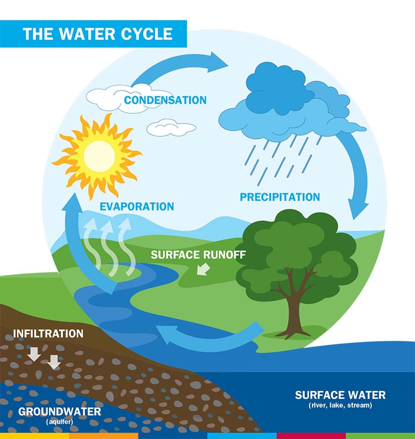 Diagram of the water cycle.
