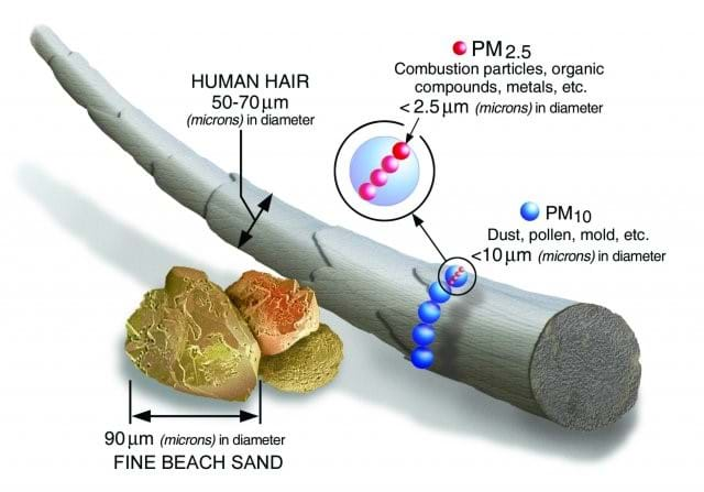 An image showing the different sizes of PM.