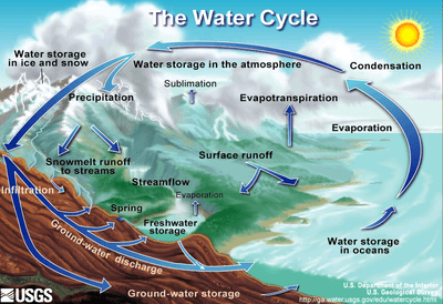 The water cycle.