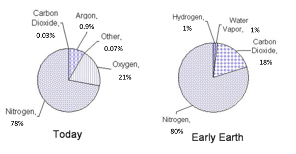 Pie Chart Of Percentage Of Gases In Air