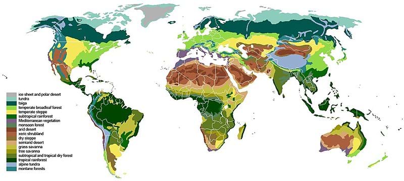 A world map colored to show the numerous different biomes within every continent.