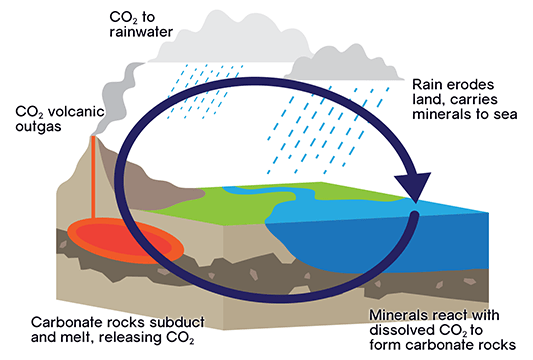 A cutaway diagram shows how carbon moves between rocks and minerals, the world's oceans, and the atmosphere.