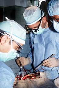 Photo shows three surgeons in scrubs and face masks in an operating room; one holds two instruments above a large incision in a patient's chest. The patient is covered in cloth and not visible. 