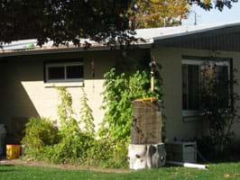 Photo shows the corner of a brick house with a short narrow window high on the wall, in the shadow of the roof overhang, receiving no sunlight.