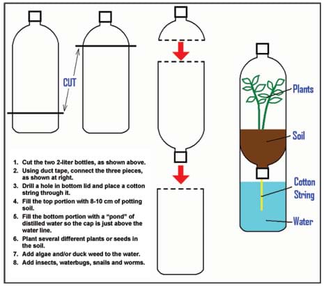 Illustration shows cutting the top of one bottle and bottom of the other, taping them together to form a bottom reservoir into which a string dips to provide water to the soil in the upper bottle.