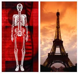 (left) Image of a standing human skeleton. (right) Photo of a side view of a tall metal structure that is wider at its base than its top.