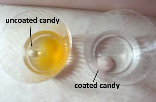A photo shows two clear drinking cups, one with an unchanged coated candy piece in clear liquid, and the other with an uncoated candy piece surrounded by a cloudy yellow liquid.