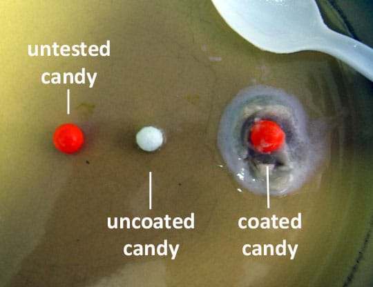 A photo shows three pieces of candy: an untested piece (red), an uncoated piece after testing (white and smaller), and a coated piece after testing (red).