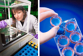 Two photos: A woman in a lab coat and gloves uses tweezers to place a sample in a lab device. A gloved hand holds one of seven clear flat vials with red rims.