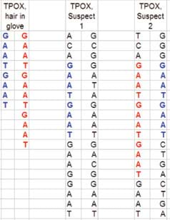 A table lists nucleotide base pair sequences in chromosomes from father and mother of three people, with the GAAT sequences in each highlighted in color.