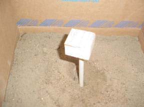Photo shows a wooden dowel submerged into soil layers at the bottom of a cardboard box.