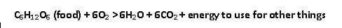 chemical reaction describing cellular respiration