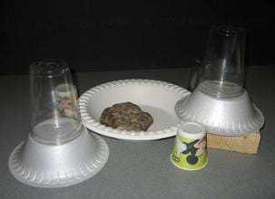 A photograph shows a paper plate, rock, wooden block, and stacked upside-down bowls and cups.