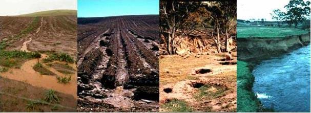 Four photographs of erosion: (left to right) a muddy field with very little vegetation and little streams of water running through it; a muddy field with numerous small channels; a tunnel caused by water erosion that ultimately caused the collapse of the hillside and trees into the tunnel; and finally, a stream flowing several feet below the top of the bank, which overhangs the stream in places.