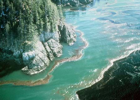 A photograph shows a dark black, very large oil slick approaching land, after the Exxon Valdez oil spill.