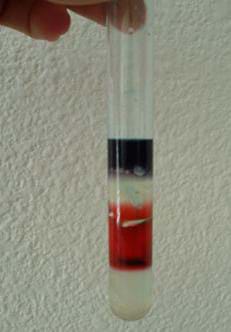 A photograph shows a hand holding a glass test tube with four layers of liquids. From the bottom, up: corn syrup, red-dyed tap water, vegetable oil and green-dyed rubbing alcohol.