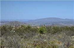 A picture of the natural Arizona landscape.